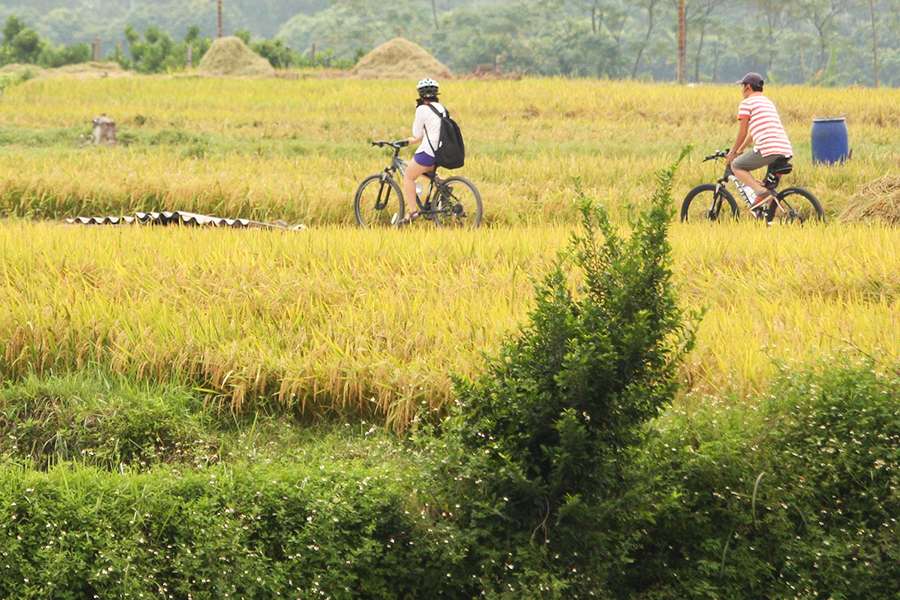 1734334590_hanoi-to-halong-bay-bike-ride (4).jpg